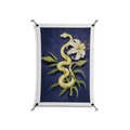 Snake Tigerlily - Work On Wall - Amy Suther - Black - 70 x 100 cm