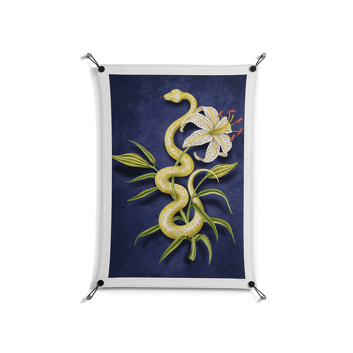 Snake Tigerlily - Work On Wall - Amy Suther - Black - 70 x 100 cm