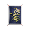 Snake Tigerlily - Work On Wall - Amy Suther - Orange - 70 x 100 cm