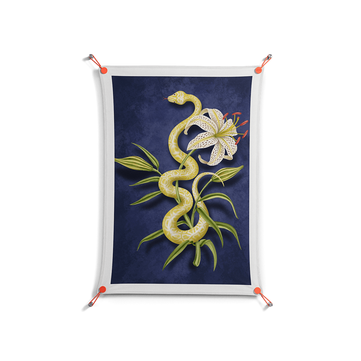 Snake Tigerlily - Work On Wall - Amy Suther - Orange - 70 x 100 cm