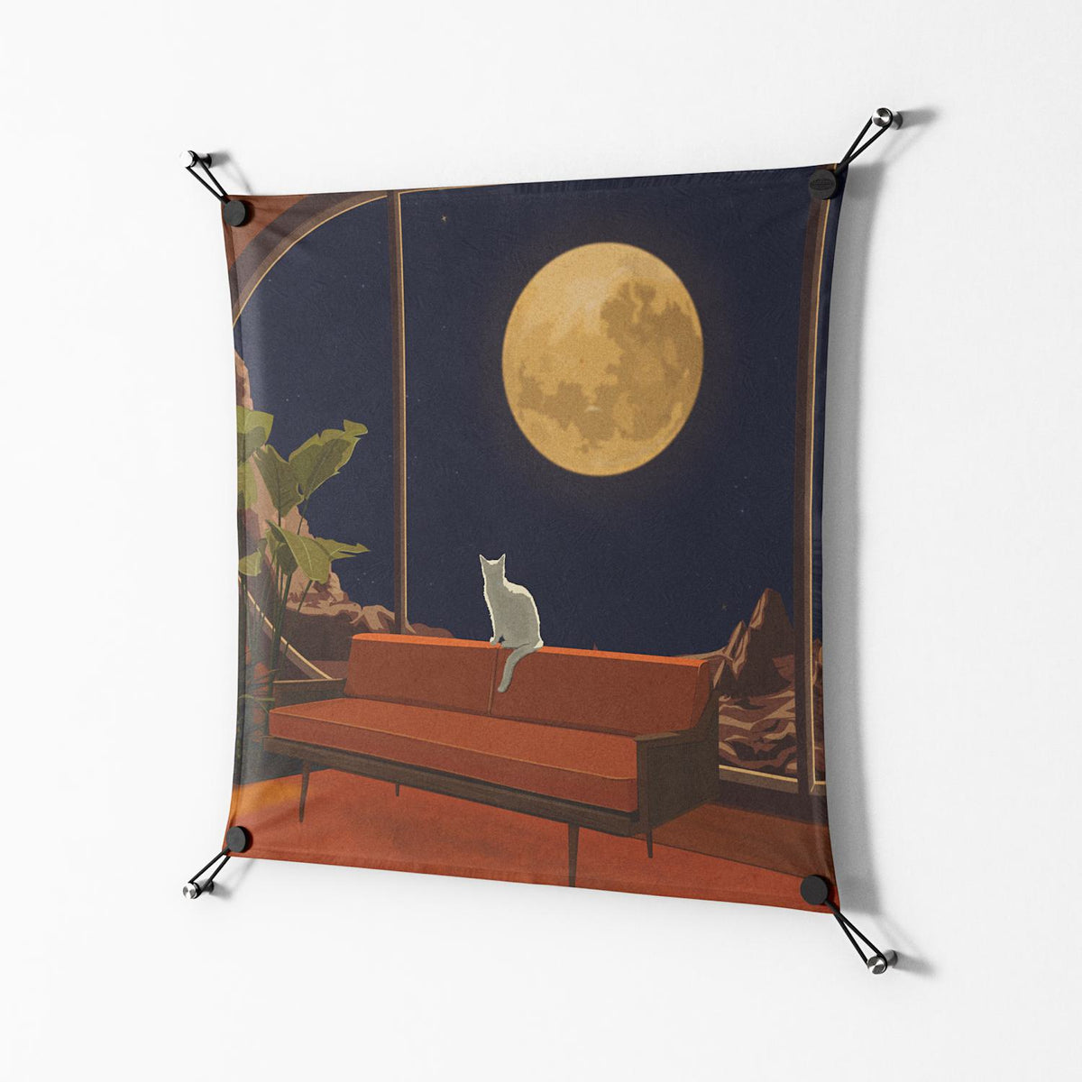 Kitty With A View - Work On Wall - Kristin Eriksson - Black - 70 x 70 cm