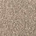 Bold Bouclé Champagne